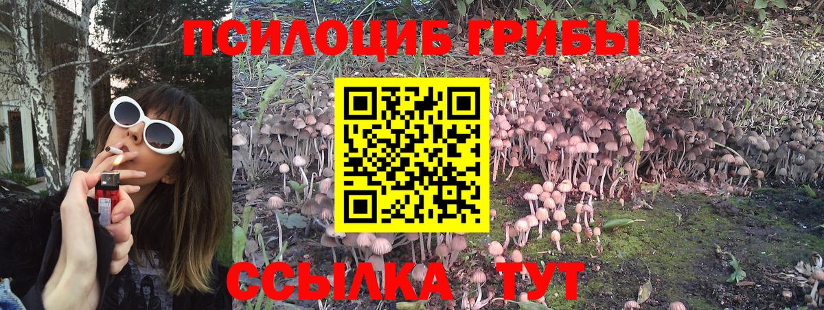 Галлюциногенные грибы GOLDEN TEACHER  Вход с VPN  Дагестанские Огни 