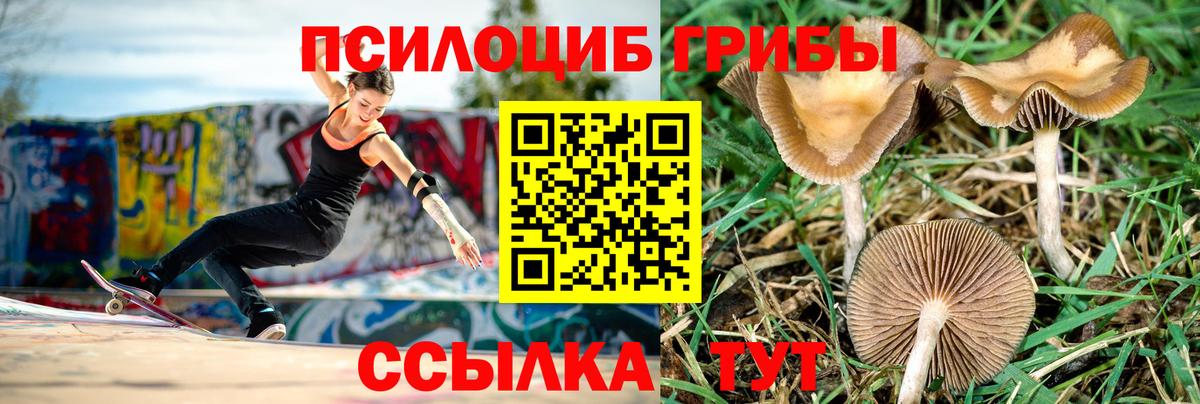 Псилоцибиновые грибы Magic Shrooms Дагестанские Огни
